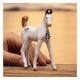 Schleich 14896 Marwari Foal