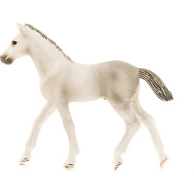 13860 Schleich holstein veulen