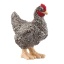 Schleich 13997 Plymouth Rock Chicken