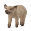 Bekijken Schleich 14893 Mangalica Piglet