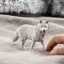 Schleich 14880 Arctic Wolf