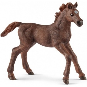 Vergroot 13857 Schleich Engelse Volbloed Veulen 13857 Schleich Engelse Volbloed Veulen