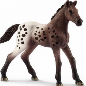 Schleich Appaloosa Veulen