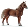 13869 Schleich Morgan Hengst