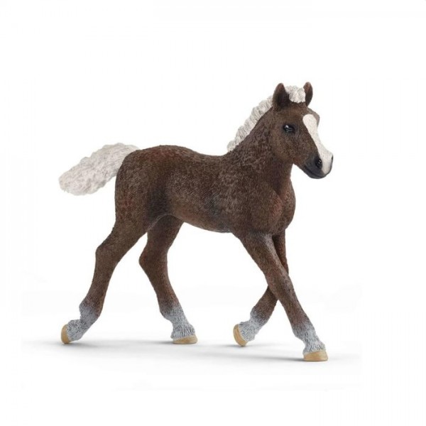 13899 Schleich Schwarzwalder Veulen