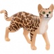 Schleich 13918 Bengaalse Kat