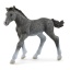 13944 Schleich trakehner veulen