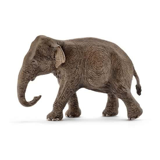 Schleich Aziatische Olifant Vrouwtje schleich kopen in de aanbieding