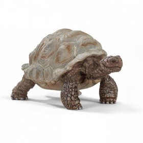 Vergroot 14824 Schleich Reuzeschildpad 14824 Schleich Reuzeschildpad