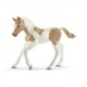 13886 Schleich Veulen