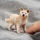 Schleich 14881 Arctic Wolf Cub