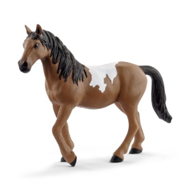 72138 Schleich Pinto Mare