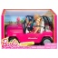 Barbie Beach Cruiser