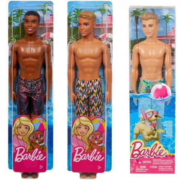 verschijnen ik heb nodig Vooruitgaan Barbie Ken strand pop