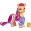 My Little Pony Regenboog Onthulling Sunny