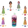 Disney Princess Small Doll Color Reveal