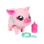 My Pet Pig