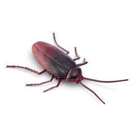 Vergroot Robo Alive Cockroach Series 2 Glow In The Dark Zuru Robo Alive Cockroach Series 2 Glow In The Dark Zuru