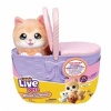 Bekijken Little Live Pets Mama Surprise Kat Verrassing In Mand