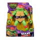 Teenage Mutant Ninja Turtles Figure Raphael