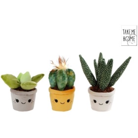 Vergroot Pluche Plant 19-27 Cm Pluche Plant 19-27 Cm