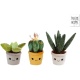 Pluche Plant 19-27 Cm