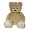 Bekijken Beer Pluche 100Cm
