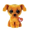 TY Beanie Boo zu zu dog 15cm