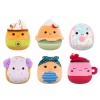 Squishmallows 13cm Unscented Mystery Bag Cookie, Donut, Past