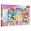 Trefl Puzzel Maxi Princess Magic of Memo (24)