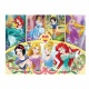 Trefl Puzzel Maxi Princess Magic of Memo (24)