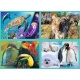 Trefl Puzzel 4 In 1 World Of Animals