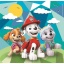 Clementoni Paw Patrol Puzzel 3 X 48 Stukjes