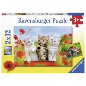 Ravensburger Puzzel Katjes op ontdekkingsreis (2x12)