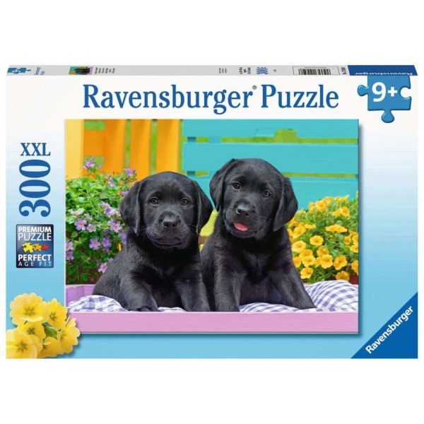 Puzzel 300 Stukjes Xxl Zwarte Labradors