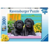 Ravensburger Puzzel XXL Schattige Puppies 300 Stukjes