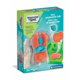 Vergroot Clementoni Wetenschap Anatomie Squishy Clementoni Wetenschap Anatomie Squishy
