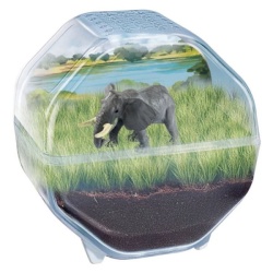 Clementoni Wild Terrarium Olifant