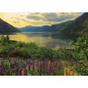 Bekijken Ravensburger Puzzel Fjord In Norway (1000)