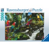 Ravensburger Puzzel bonte papegaaien jungle 2000 stukjes