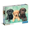 Clementoni Puzzel 1000 Stuks Labrador Pubs 3 Kleuren Compact