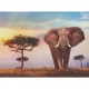 Clementoni Puzzel high Quality African sunset (500)
