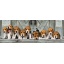 Clementoni Puzzel Beagles Panorama (1000)