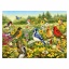 Ravensburger Puzzel vogels in de wei 500 stukjes