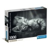 Clementoni Puzzel 1000 Stuks Kitten Compact