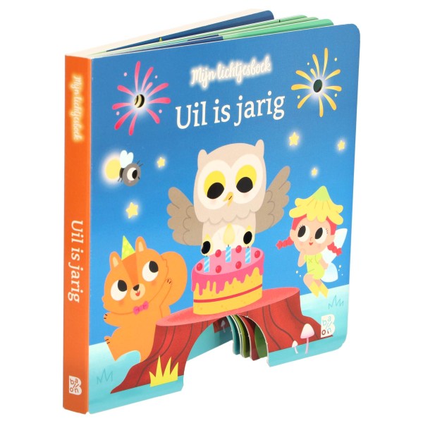 Boek Uil Is Jarig Lichtjesboek