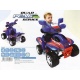 Feber Accu Quad Peak 6 volt