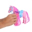 Pony Manen Kammen Met Accesoires