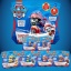 Paw Patrol Flasheez Single Pack