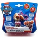 Paw Patrol Flasheez Single Pack